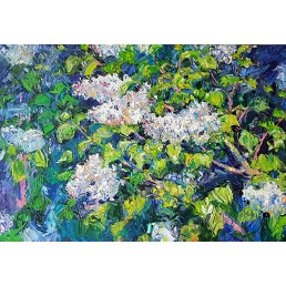 Botanischer Garten. Flieder blüht,2019 , Oil on canvas 70х100 cm